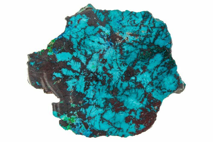 Vibrant Chrysocolla and Shattuckite Section - Mexico #348760